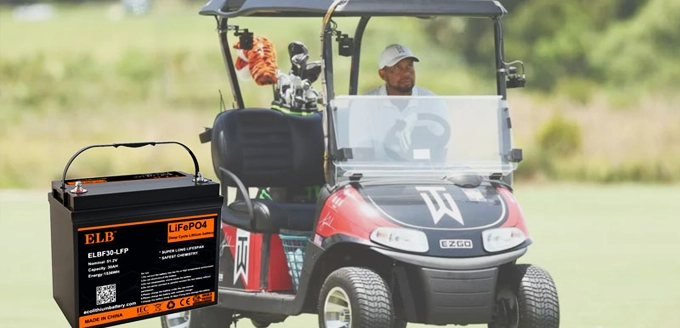 ELE. Golf Carts Battery